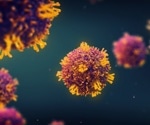 Scientists Decode How T Cells Stop Deadly Viruses