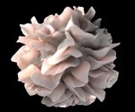 Creatine Linked to Cancer-Fighting Dendritic Cell Function