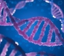 Computational Tool Enhances Reliability of DNA Nano-Vehicles for Medicine
