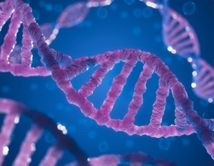 Computational Tool Enhances Reliability of DNA Nano-Vehicles for Medicine