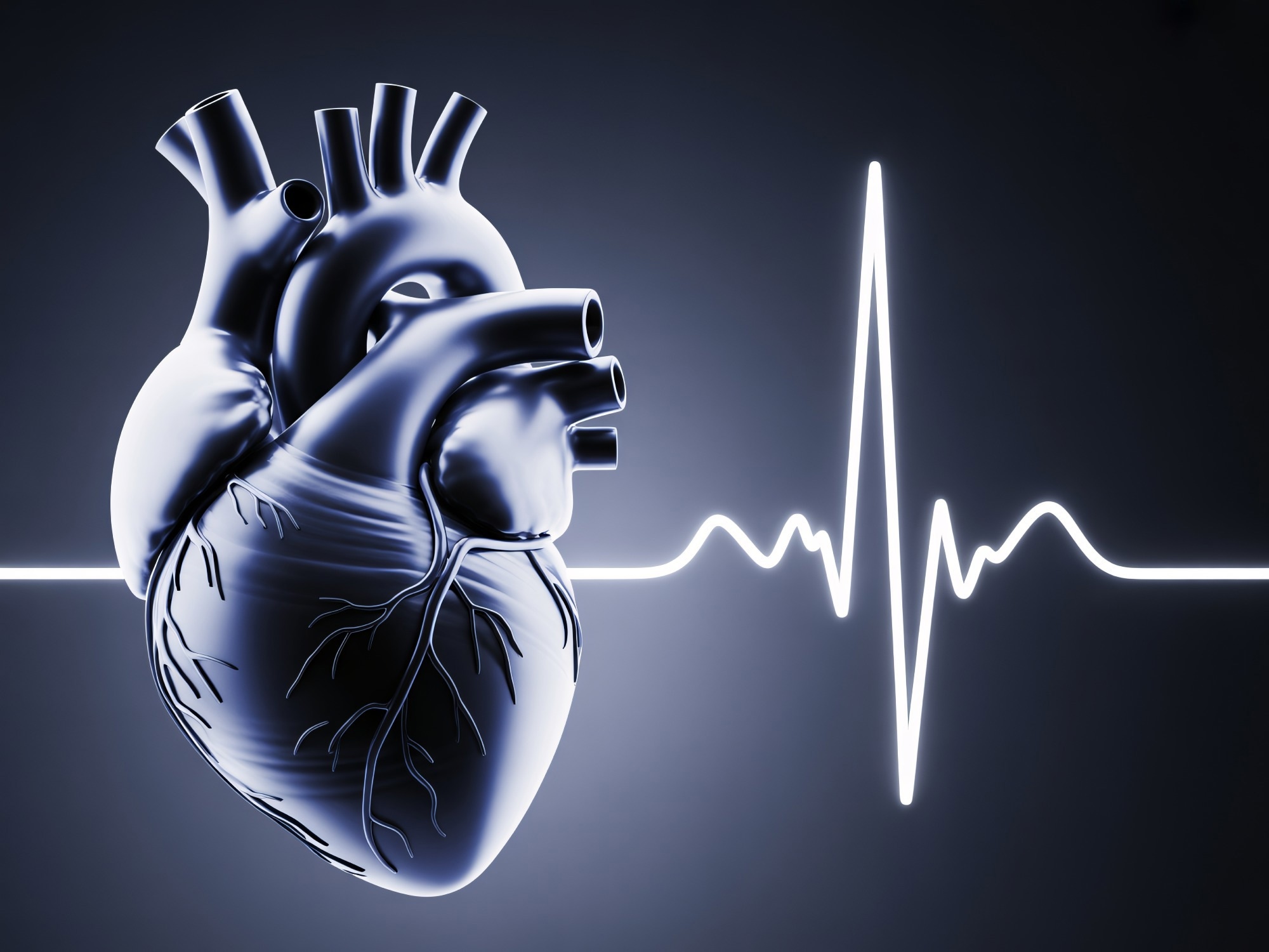 This medical illustration depicts a human heart in a detailed and realistic manner, with an electrocardiogram reading in the background. The heart is shown in a blue-gray color, with a smooth and shiny texture