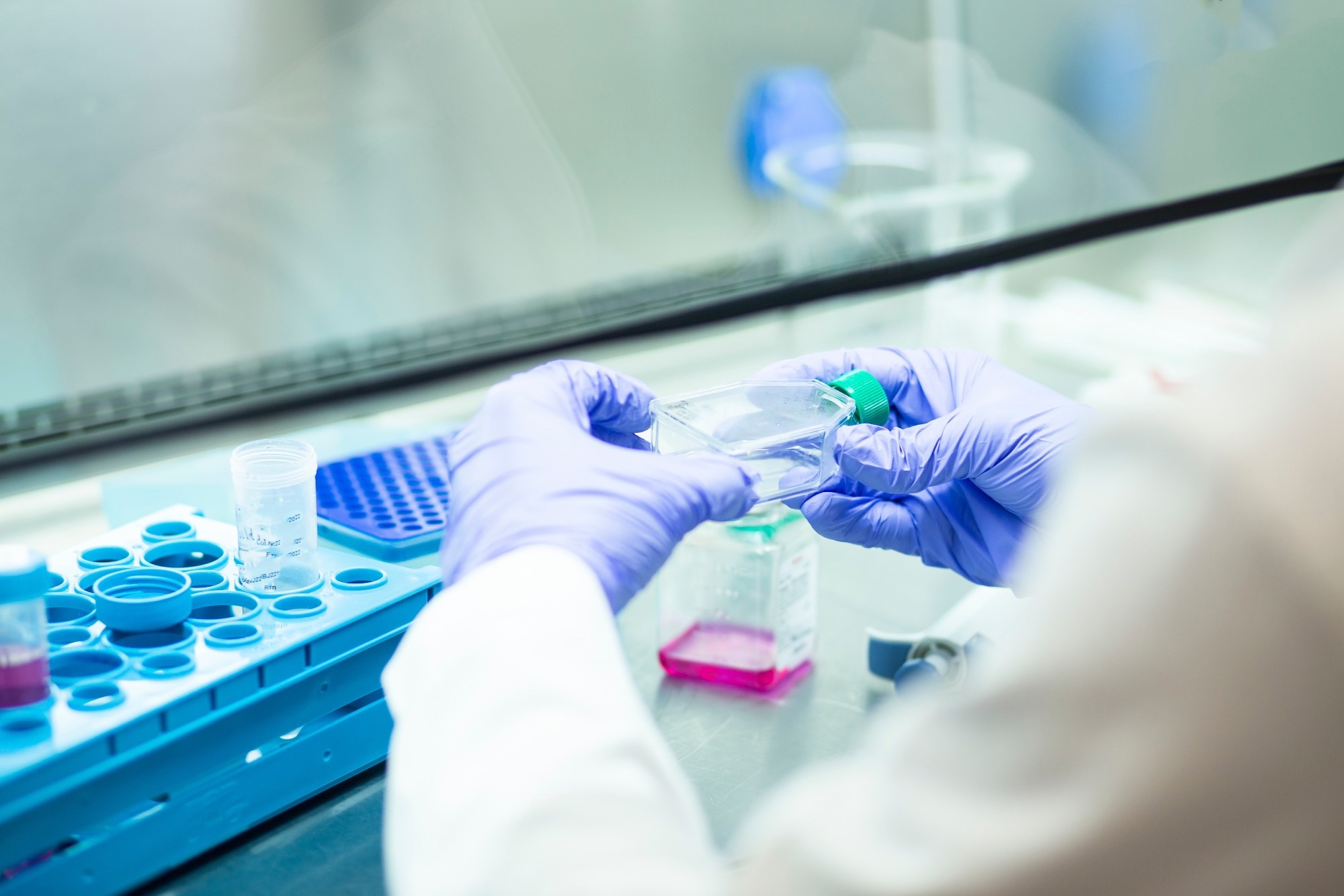 medicine and medical laboratory cell culturing at the safety cabinet