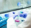 Building More Realistic Human Tissue Models With Assembloids