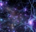 Ancient Brainstem Neurons That Help The Brain Ignore Distractions