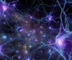 Ancient Brainstem Neurons That Help The Brain Ignore Distractions