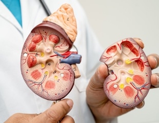 Synthetic Organizer Cells To Build More Realistic Kidney Organoids
