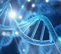 Researchers Develop qChIP-MS to Map Protein Networks on Human DNA