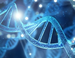 Researchers Develop qChIP-MS to Map Protein Networks on Human DNA