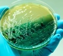 Two Antibiotics Outperform Single Drugs Against P. aeruginosa