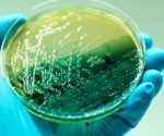 Two Antibiotics Outperform Single Drugs Against P. aeruginosa