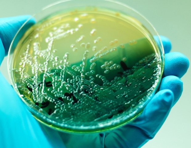 Two Antibiotics Outperform Single Drugs Against P. aeruginosa