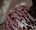 Winery Waste Becomes Stable Squalane for Greener Cosmetics