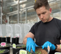 Australia’s First National Database of Mycorrhizal Fungi Reveals Hidden Biodiversity Beneath Our Feet