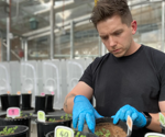 Australia’s First National Database of Mycorrhizal Fungi Reveals Hidden Biodiversity Beneath Our Feet