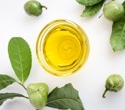 Fermented Tea Seed Oil Improves Hydration and Reduces Redness in Sensitive Skin