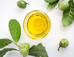 Fermented Tea Seed Oil Improves Hydration and Reduces Redness in Sensitive Skin