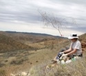 Genetic Clues Reveal Rare Australian Wattle is Quietly Heading for Extinction