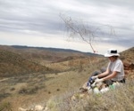 Genetic Clues Reveal Rare Australian Wattle is Quietly Heading for Extinction