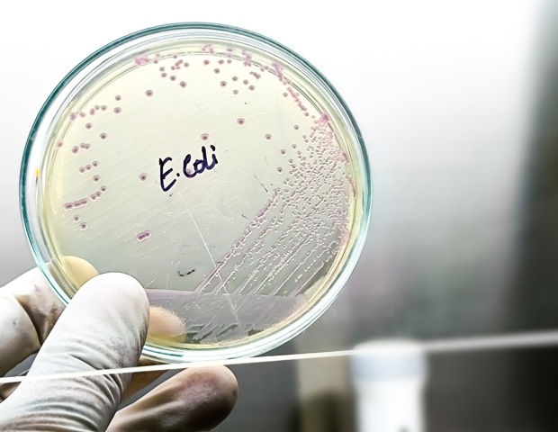 Why Rare E. coli Genes Rarely Create New Metabolic Functions