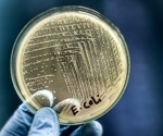 How Dying Bacteria Protect the Colony From Antibiotics