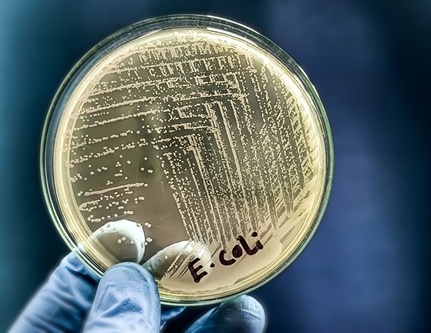 How Dying Bacteria Protect the Colony From Antibiotics