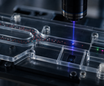 Deep-Learning Holography Detects Elusive Circulating Tumor Cells in Prostate Cancer