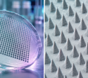 Microneedle Patches Turn Skin Into a Window for Immune Bioanalysis