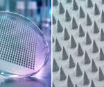 Microneedle Patches Turn Skin Into a Window for Immune Bioanalysis
