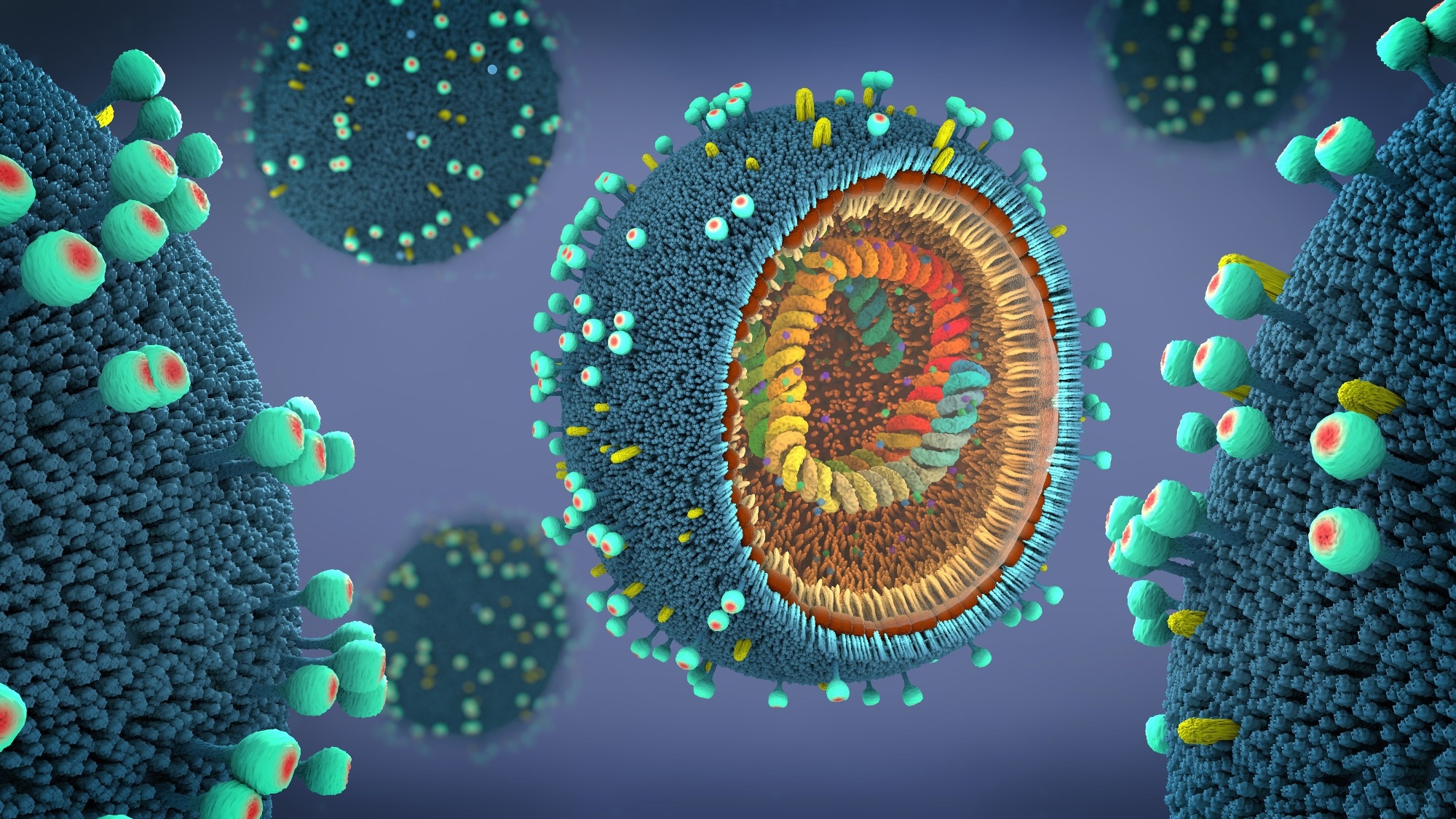influenza a illustration