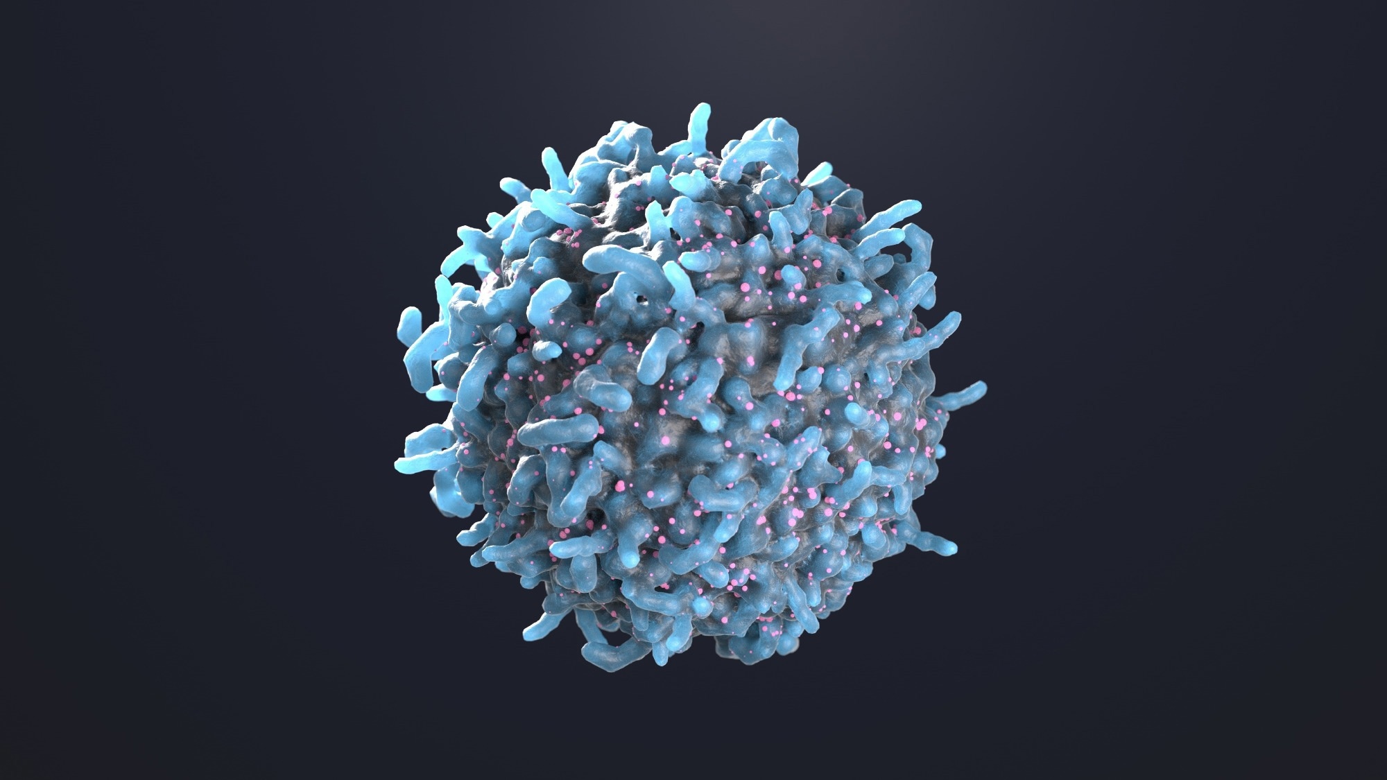 t-cell