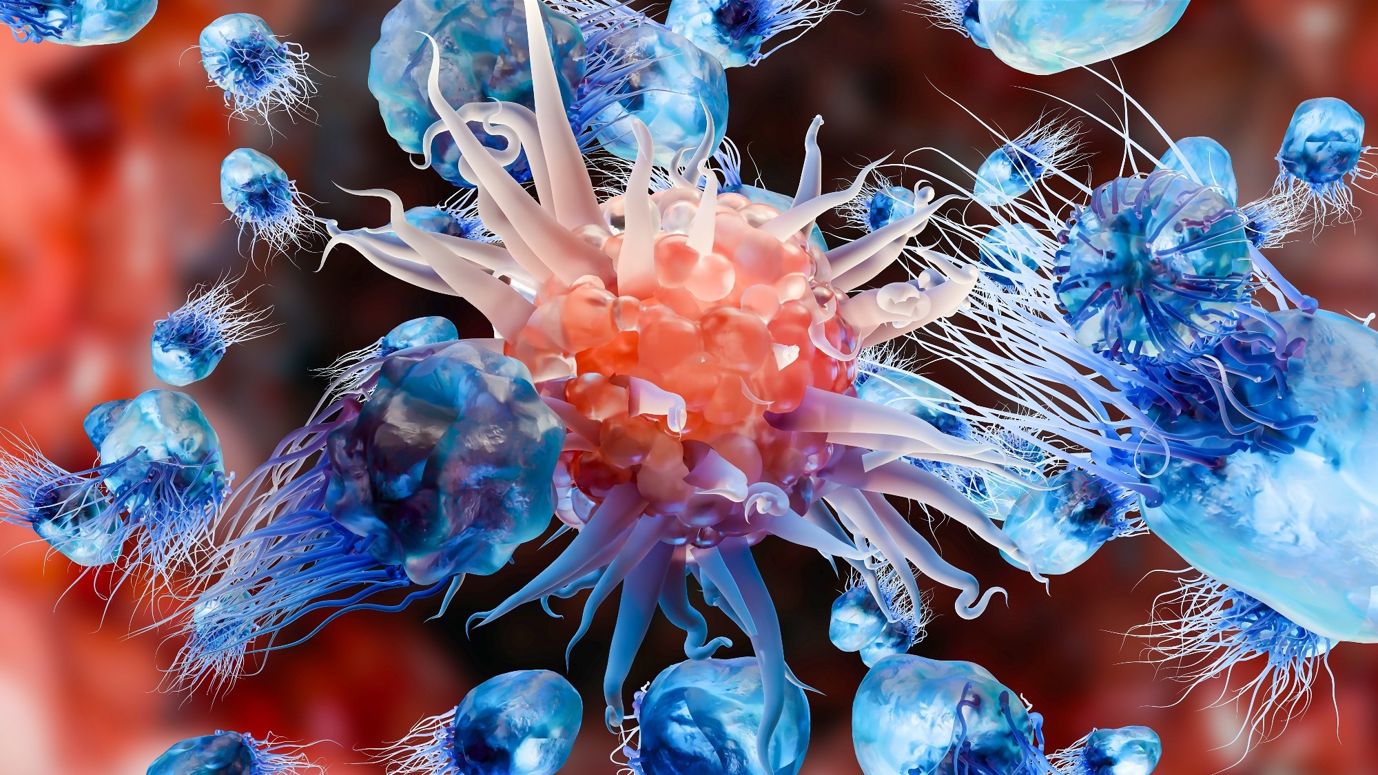 immune signaling cytokines, cancer, immune system