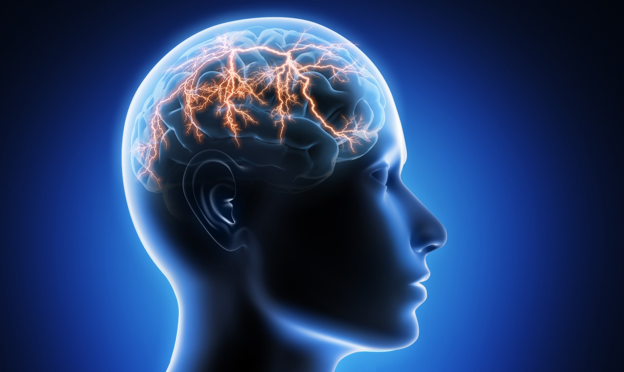 Head with brain - 3d Illustration