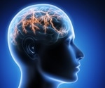Scientists Pinpoint the Brain Circuit That Regulates Metabolism