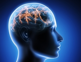 Scientists Pinpoint the Brain Circuit That Regulates Metabolism