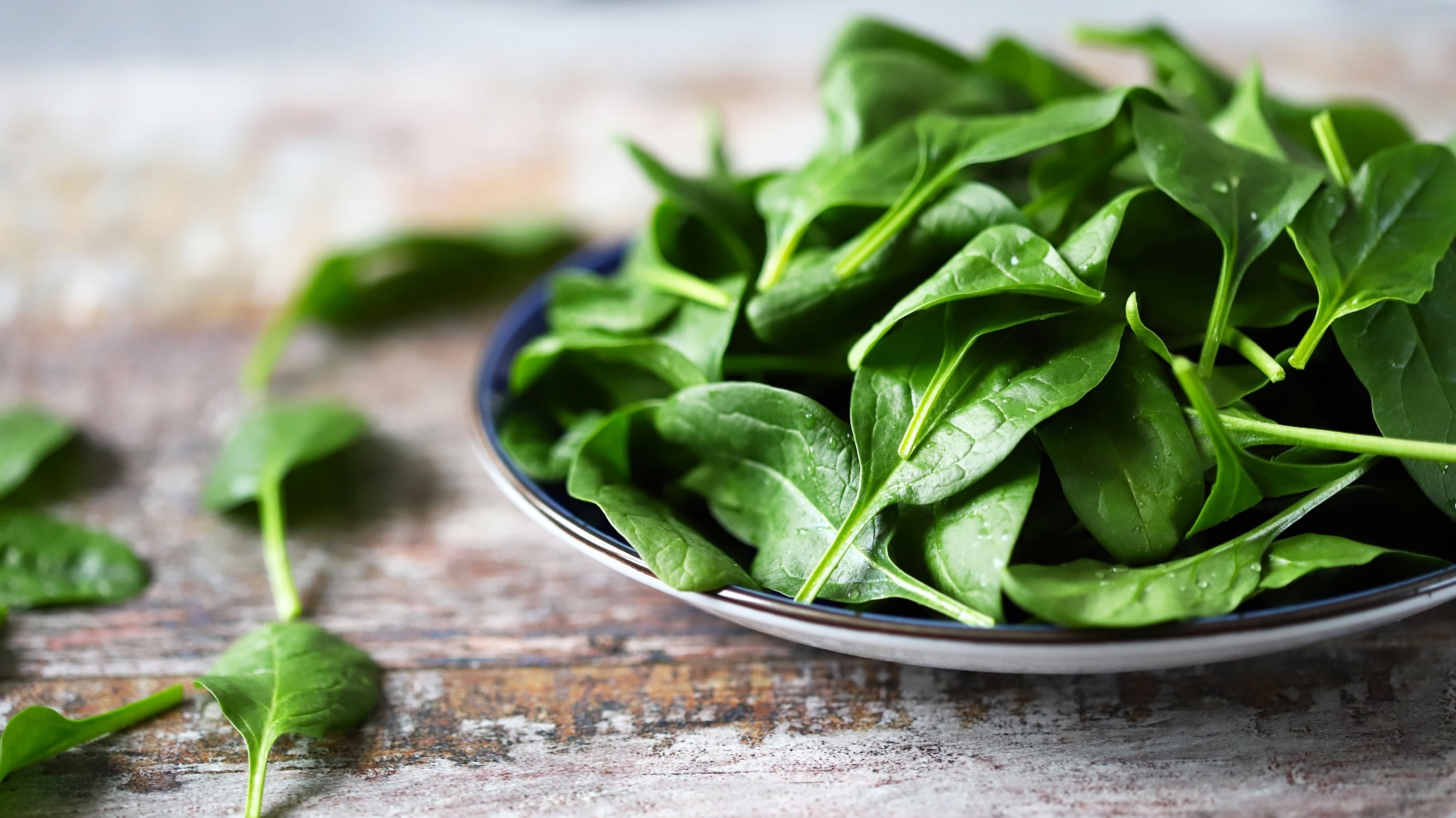 Fresh baby spinach. Washed spinach leaves on a blue plate