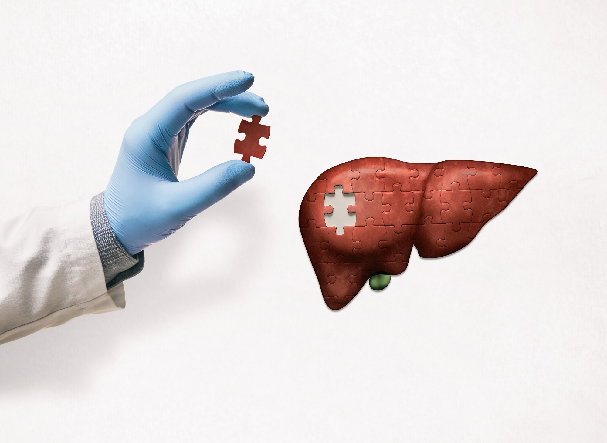 Gloved hand holding a puzzle piece beside a liver-shaped puzzle with a missing piece, symbolizing liver repair.
