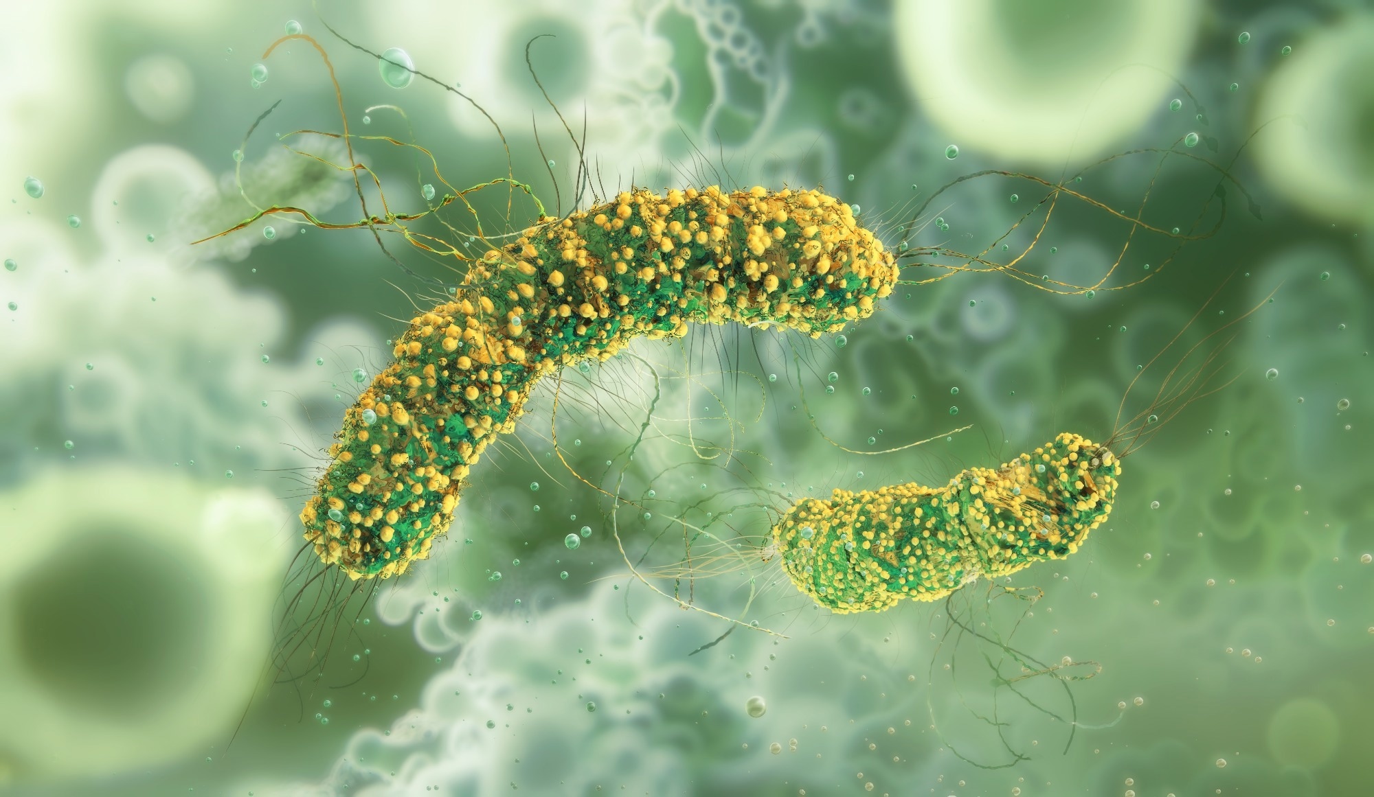 Study: Development of propidium monoazide-droplet digital PCR for Listeria monocytogenes quantification and growth modeling in ice cream. Image Credit: Corona Borealis Studio / Shutterstock