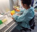Accelerating RNA Therapeutics Research with High Throughput Screening