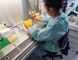 Accelerating RNA Therapeutics Research with High Throughput Screening
