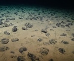 Study Highlights New Opportunities for Marine Protection in the Deep Pacific Mining Zone