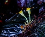 A New Way to Watch Plants Respond to Disease in Real Time