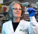 Switching on Healthy Silent Genes Reveals New Way to Treat Rare Genetic Disorder