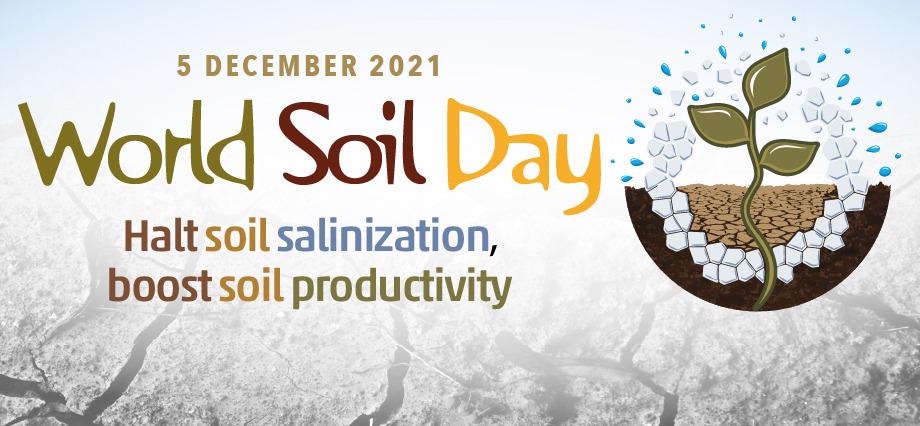 World Soil Day 2021