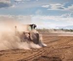 World Soil Day: An Interview with the Food and Agricultural Organisation (FAO)