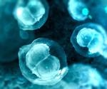 INTEGRA offers answers to your cell culture throughput needs