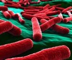 Using E.Coli to bring 3D Printing to Life