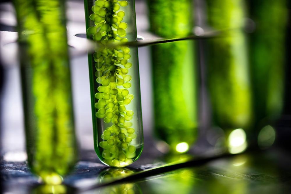 Sustainable Science