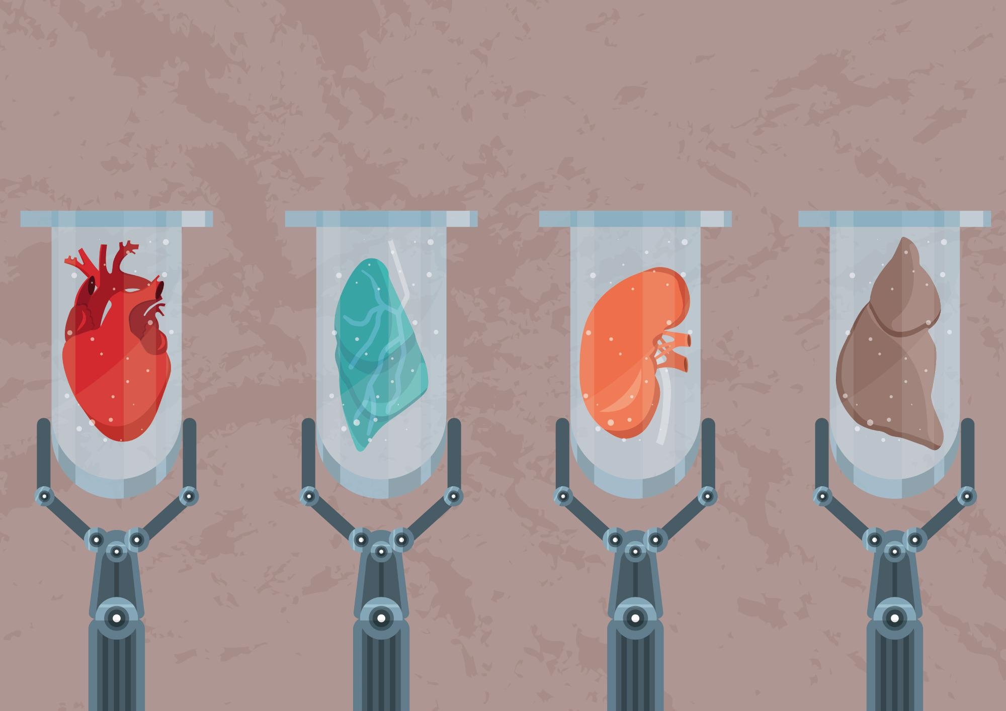 Tissue Engineering