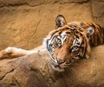 Could DNA from Air Help us to Measure Animal Biodiversity?