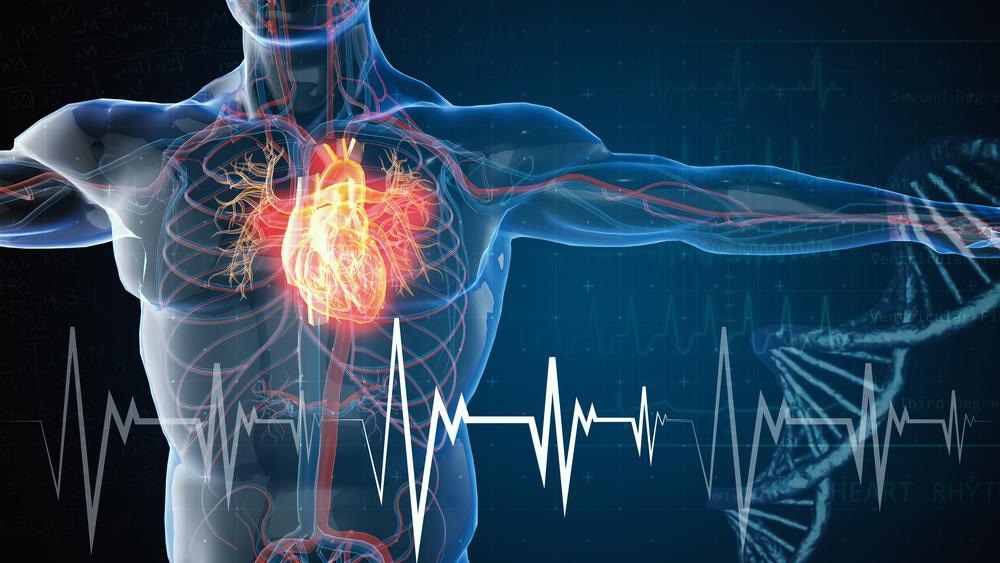Cardiovascular Health